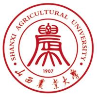 北京大学