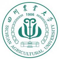 北京大学